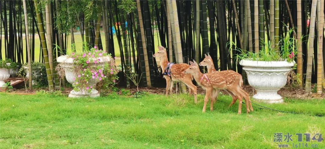全面解答问题,孩子“害怕陌生人、黏妈妈、不满意就闹”是父母没有找对哪些原因?问答网站