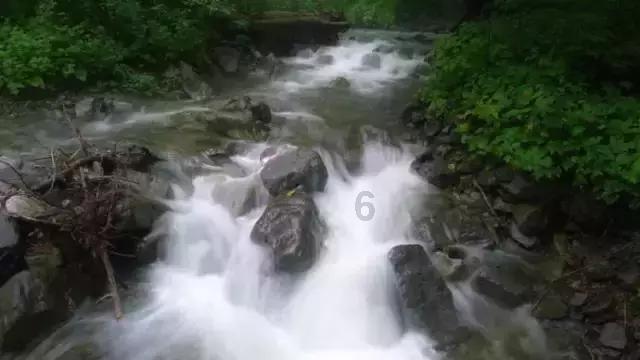 模拟山羊