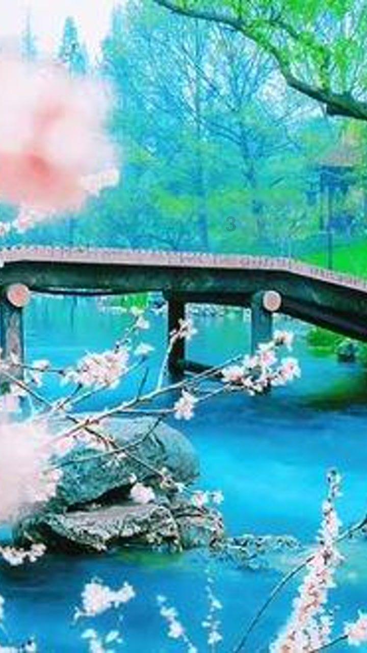 你拿诗和远方和苟且斗，你永远斗不赢的